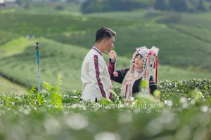Z29 ไร่ชาฉุยฟง