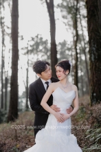 Z41 สวนสน ช้างมูบ